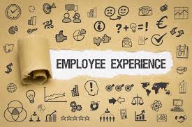 عنصر موثر بر تجربه کارکنان چیست؟